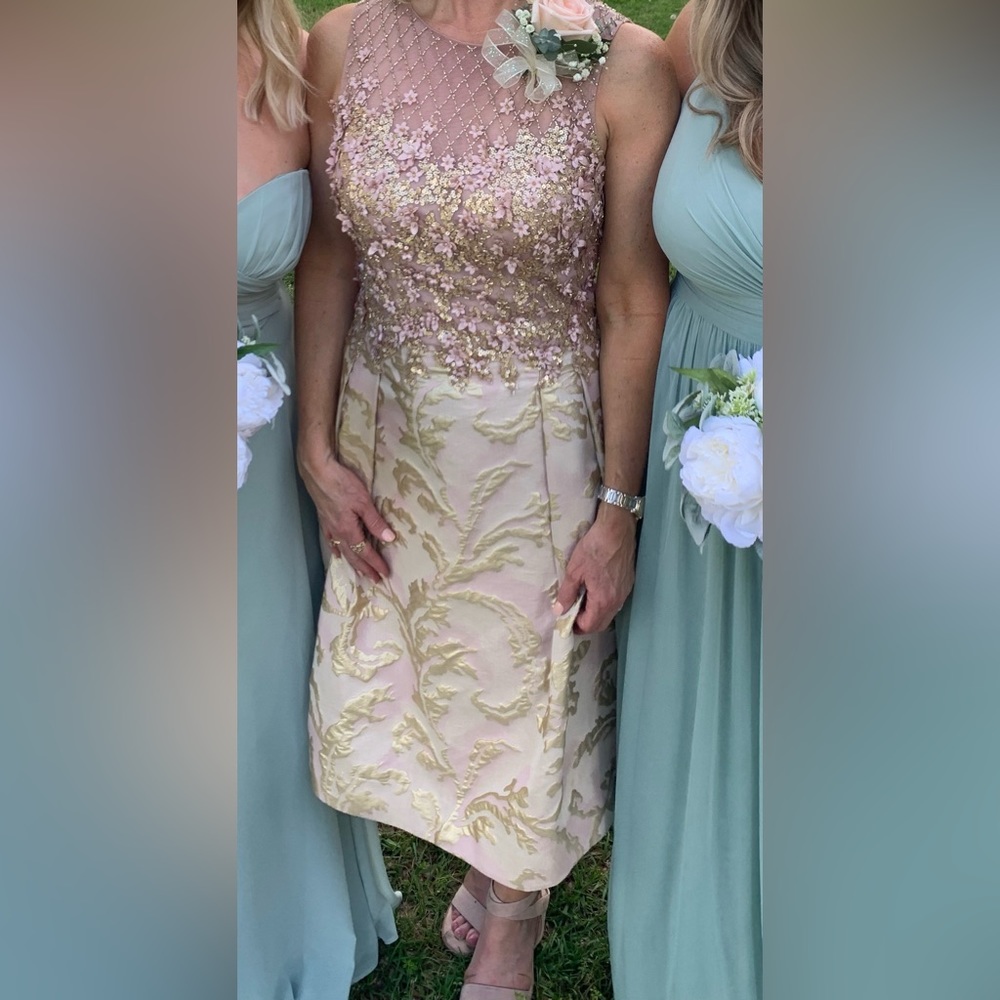 Teri Jon Dress